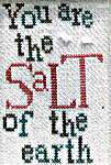 Click for more details of Salt (cross stitch) by Lucy Beam