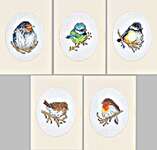 Birds Greetings Cards - Set of Five