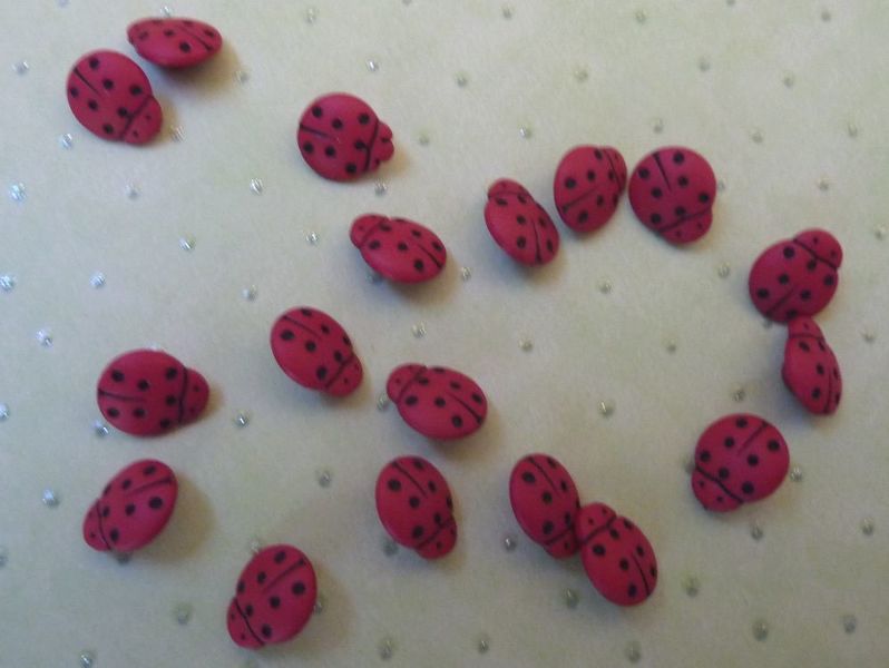 Tiny Ladybugs