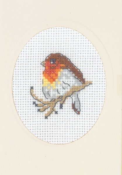 Robin Greetings Card