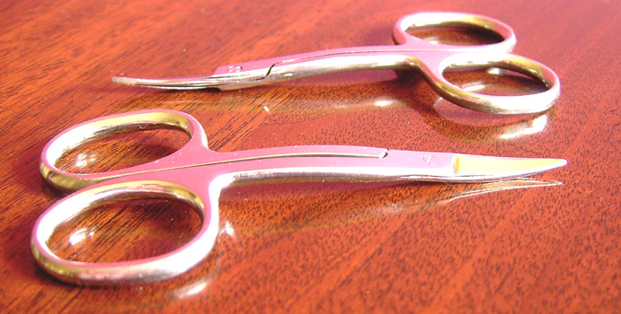 Double Curved Scissors