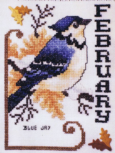 Bird of the Month - February (Blue Jay)