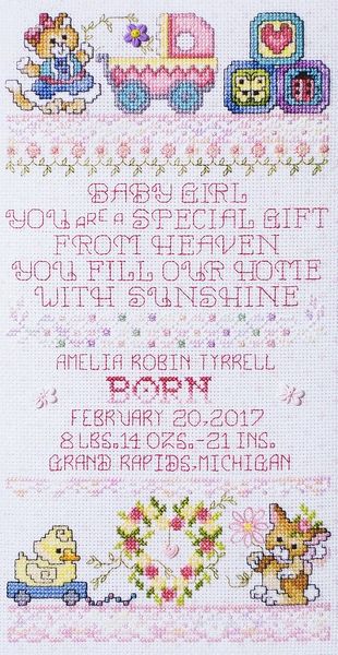 Sugar and Spice Birth Sampler