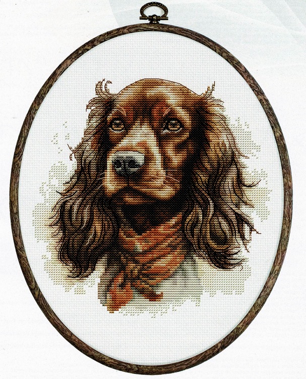 The Cocker Spaniel (view 2)