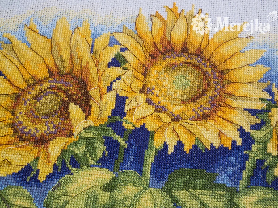 Bright Sunflowers (view 2)