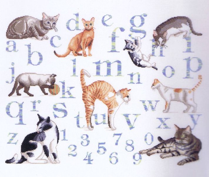 Cat Alphabet