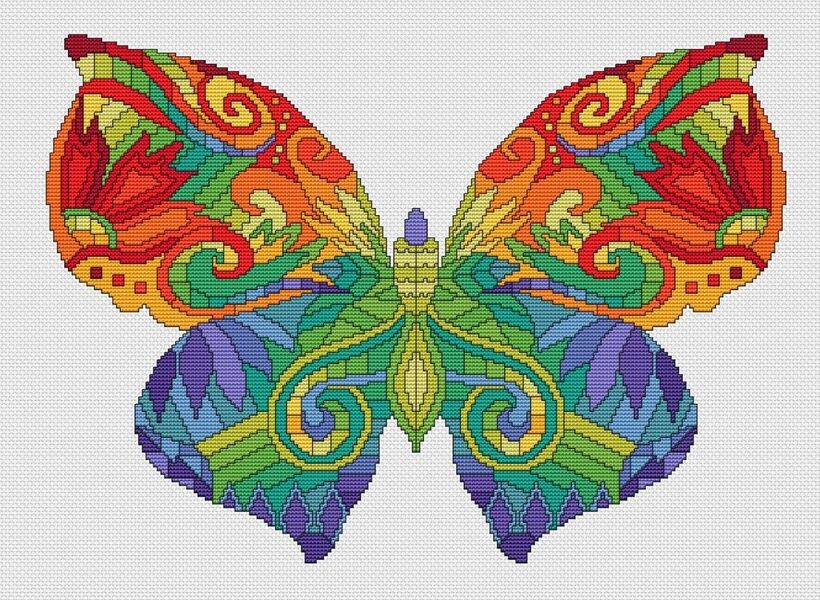 Colorful Butterfly