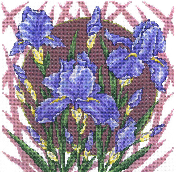 Spring Iris