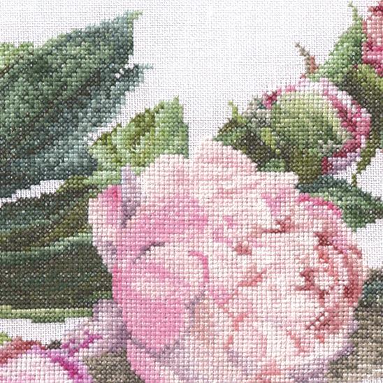 Triptych of Peonies (view 2)